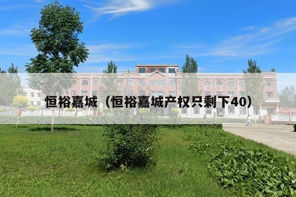 恒裕嘉城（恒裕嘉城产权只剩下40）